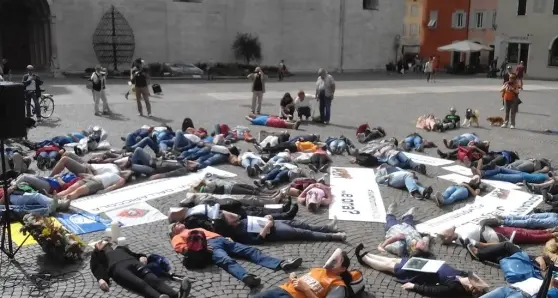 Daniza: duecento animalisti in piazza a Trento