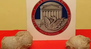 Le uova di dinosauro tornano in Romania