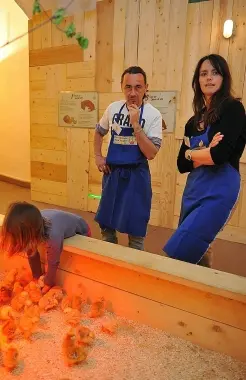 Bolzano: lo \"show dei pulcini\", al Museo di scienze la lezione della natura