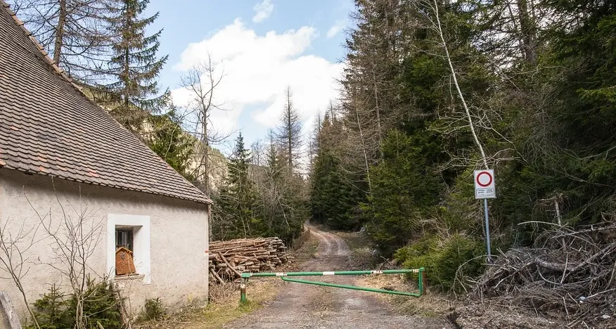 La stradina nel bosco per passare il confine