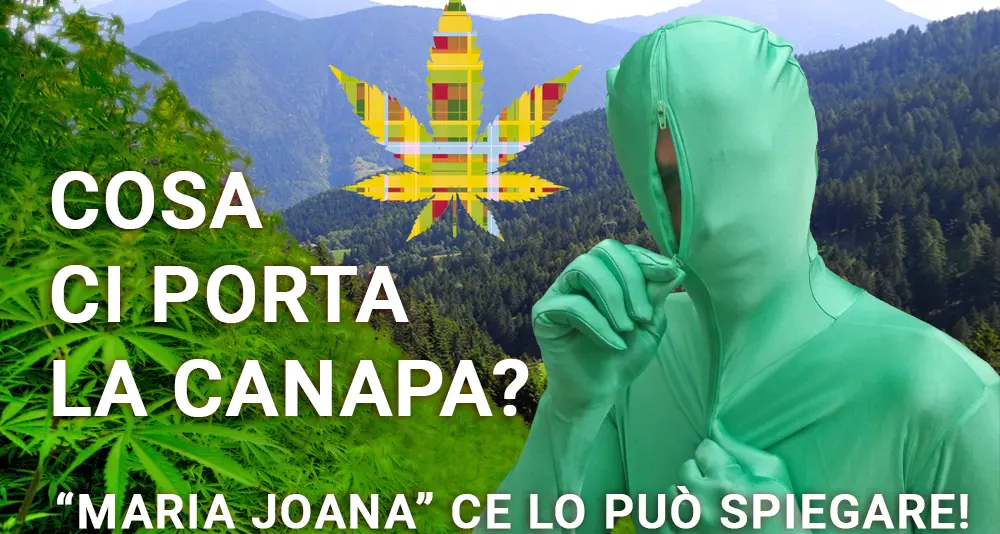 Birra di canapa per la \"legalizzazione\"