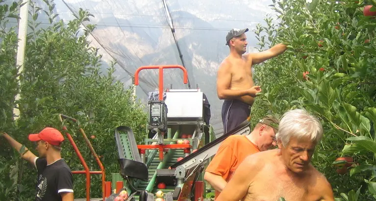 Cooperative agricole, maltempo e mercato «frenano» i guadagni