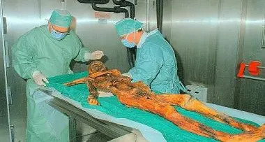 Ricostruito l'ultimo pasto di Ötzi: ha mangiato carne di stambecco