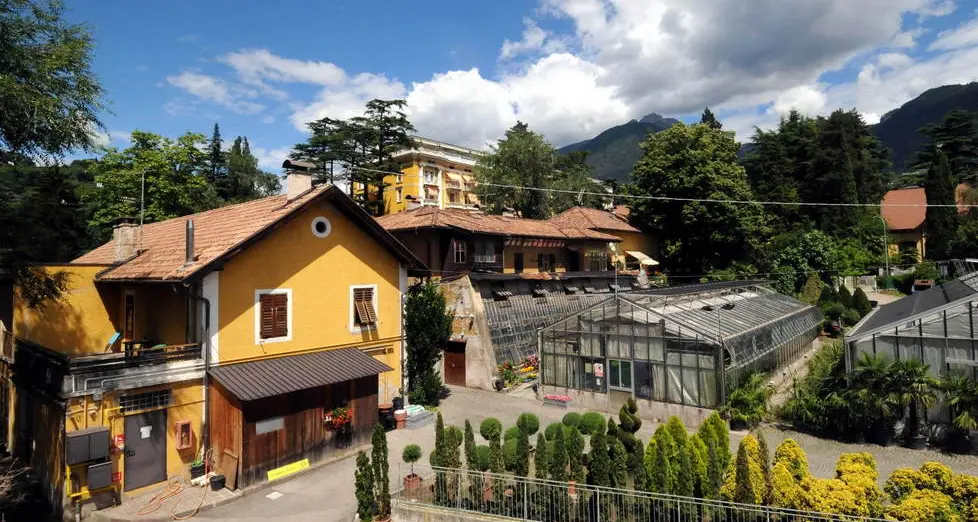 Comune, trasloco in vista per giardinerie e cantiere