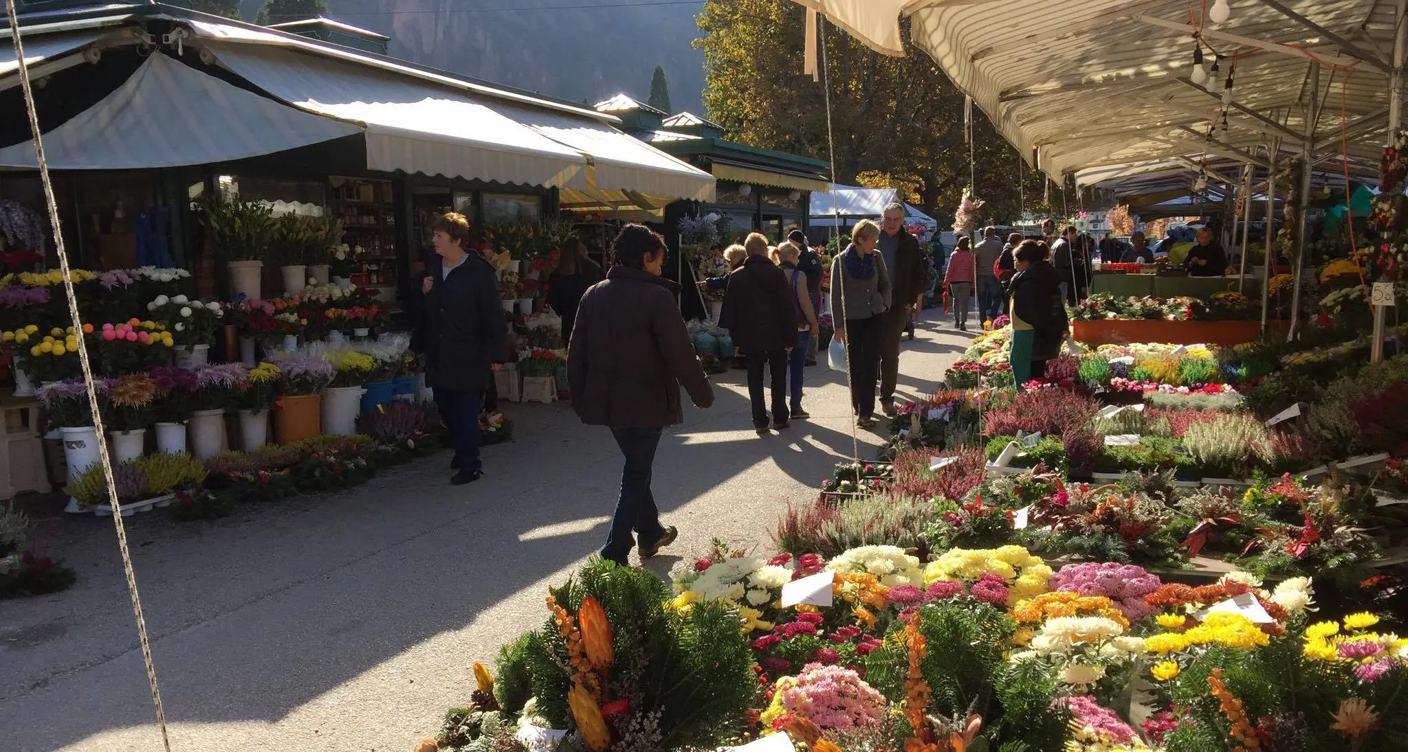 Bolzano, fiorai derubati al cimitero: bottino da mille euro