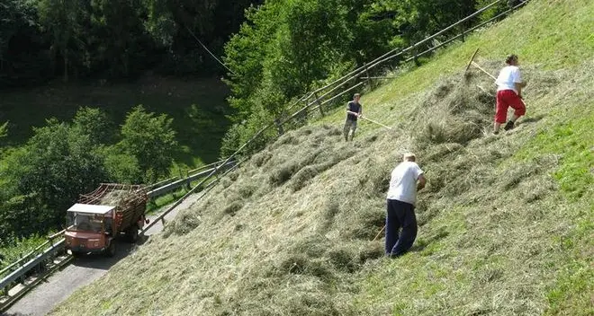 Provincia, stop ai contributi anche nel settore del paesaggio