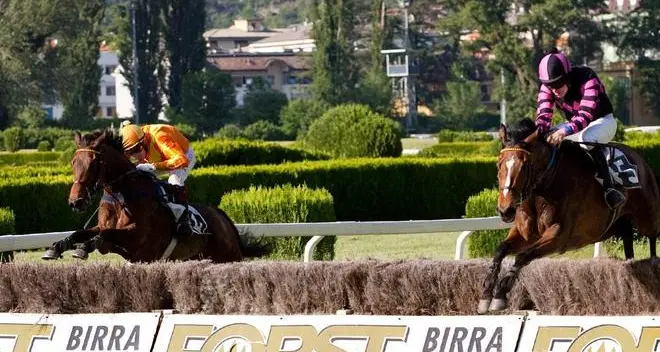 Generazione di fenomeni in ...Scena tra le siepi