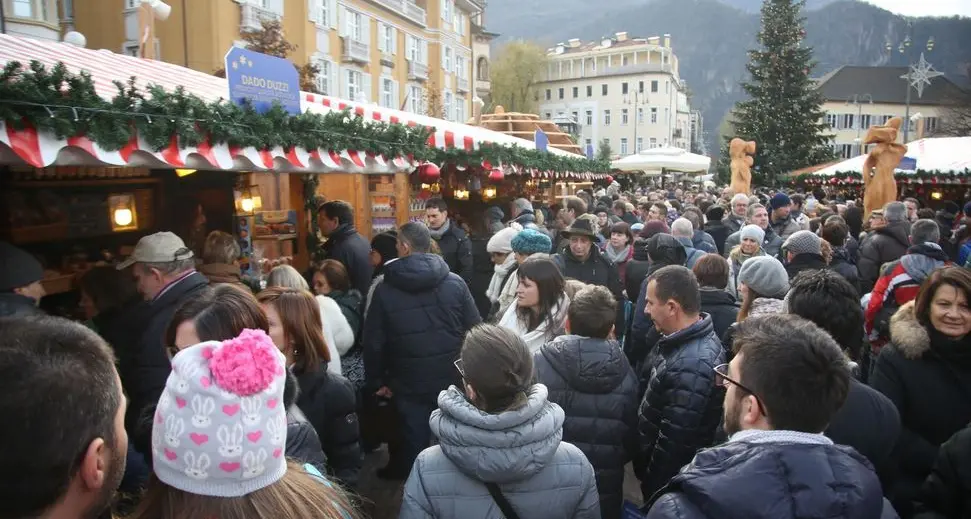Alberi contro lo smog del Mercatino