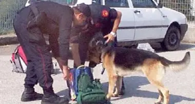 Droga: trafficante arrestato a Vipiteno con 7 kg di cocaina nell'auto