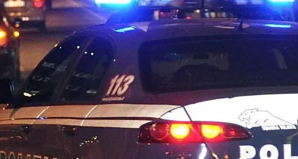 Furto notturno in azienda La polizia arresta il ladro