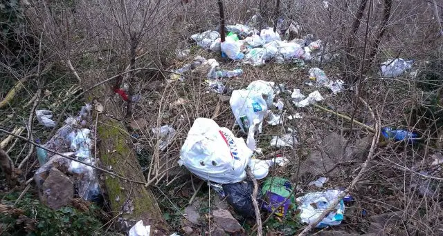 Bolzano: rifiuti abbandonati nel bosco in via Calvario
