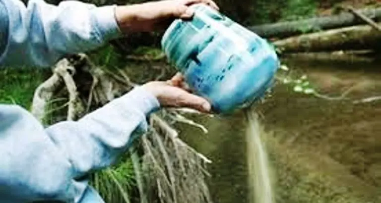 Ceneri, Caldaro fa da apripista: si possono spargere nel bosco