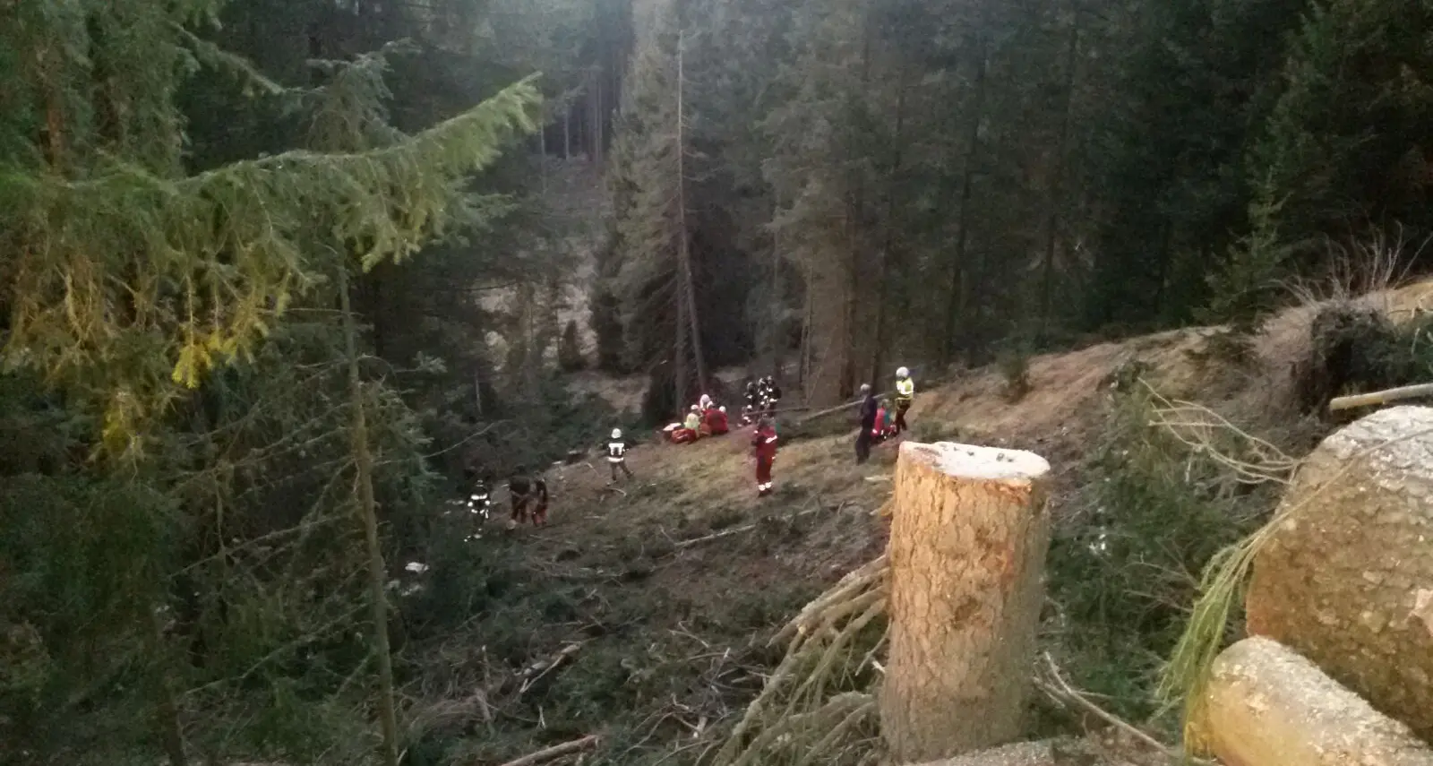 Boscaiolo travolto da un tronco a Racines