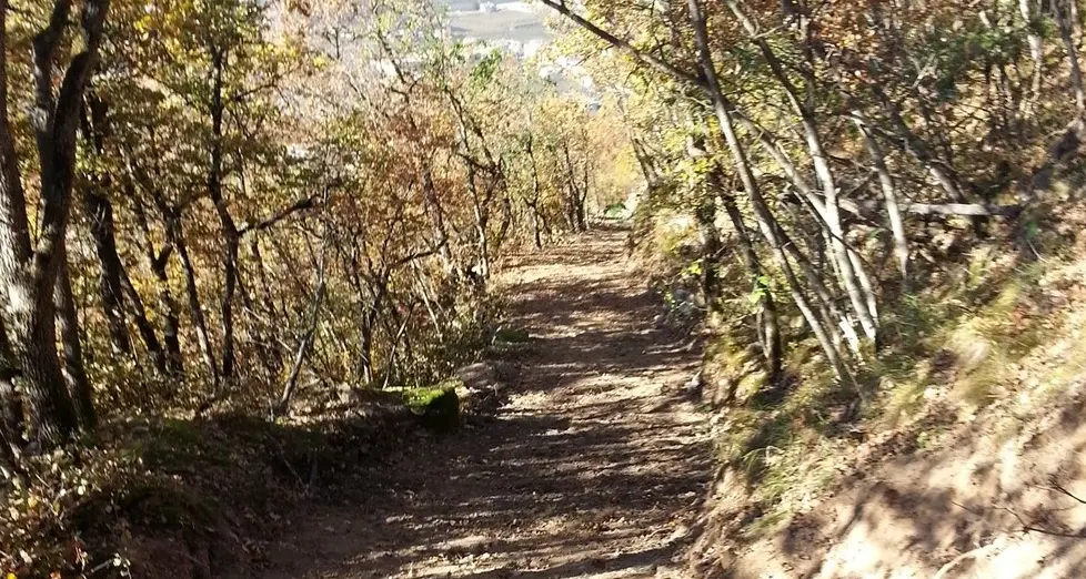 Pineta Monte-La Costa nasce la passeggiata