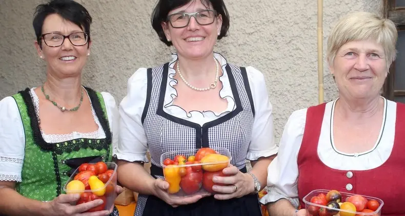 Negli orti di Bolzano crescono le «signore dei pomodori»