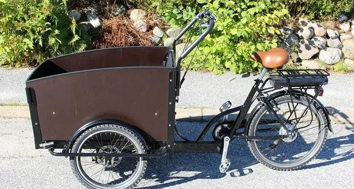 Il Comune rinnova le bici elettriche nei punti di noleggio