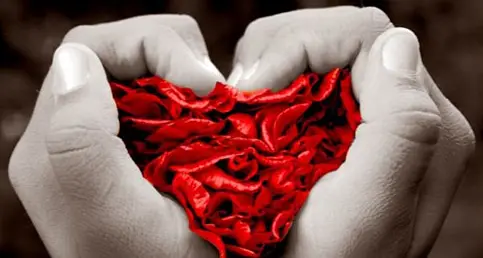 Merano: sì alla donazione organi con la carta d’identità