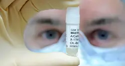 Influenza suina, i casi accertati sono 88