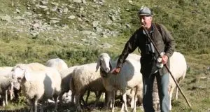 Roland Thöni: ora faccio il pastore a Trafoi