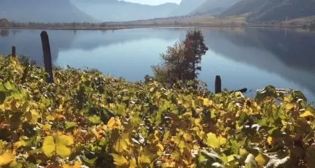 Lago di Caldaro, sì al nuovo accesso per la balneazione