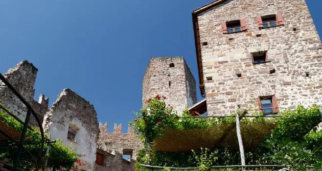 Trettl: «Aiutateci a salvare il castello di Appiano»