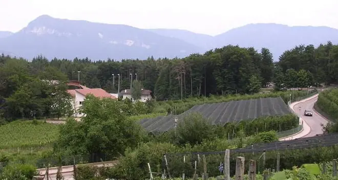 I calciatori chiedono un nuovo campo ambientalisti contro