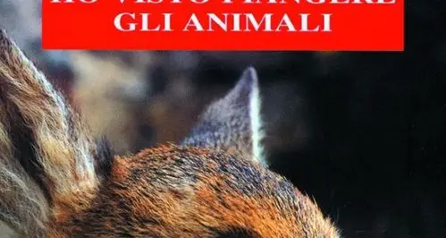 Il libro del guardiacaccia: «Gli animali piangono»