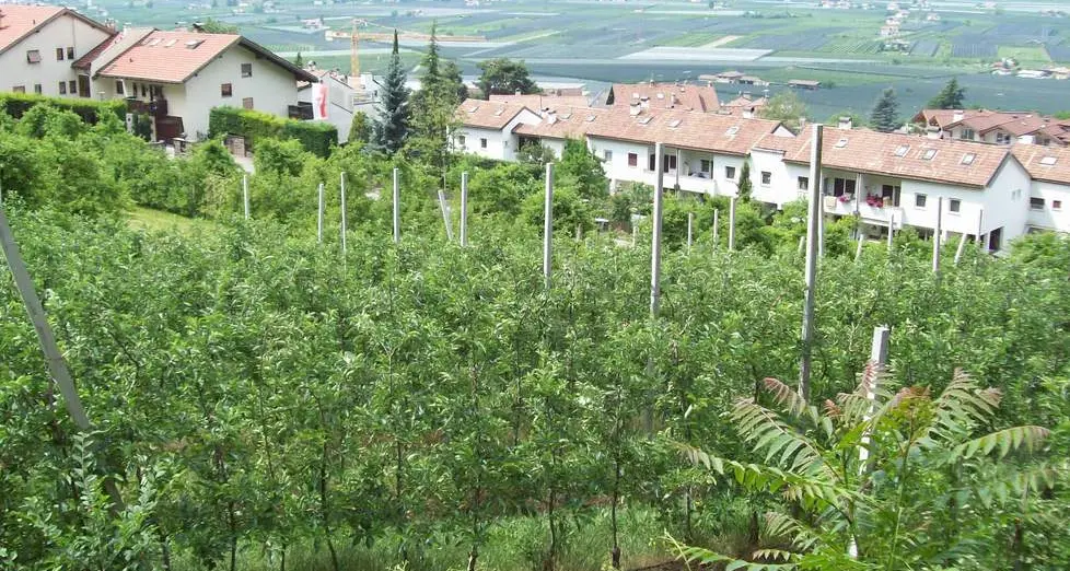 Sull’area Rotwand 27 appartamenti per il ceto medio
