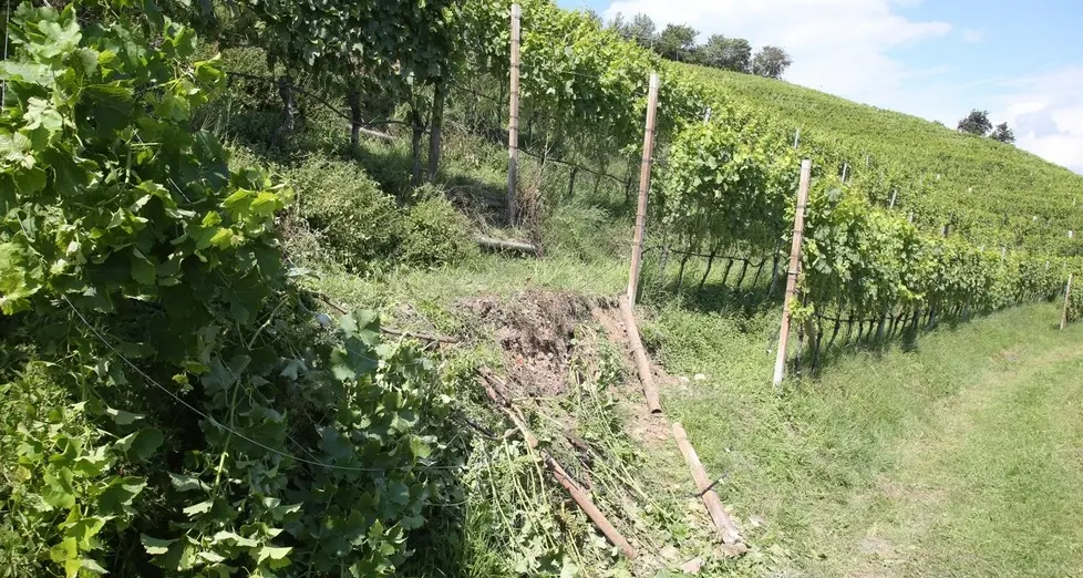 Trattore si ribalta, muore un contadino