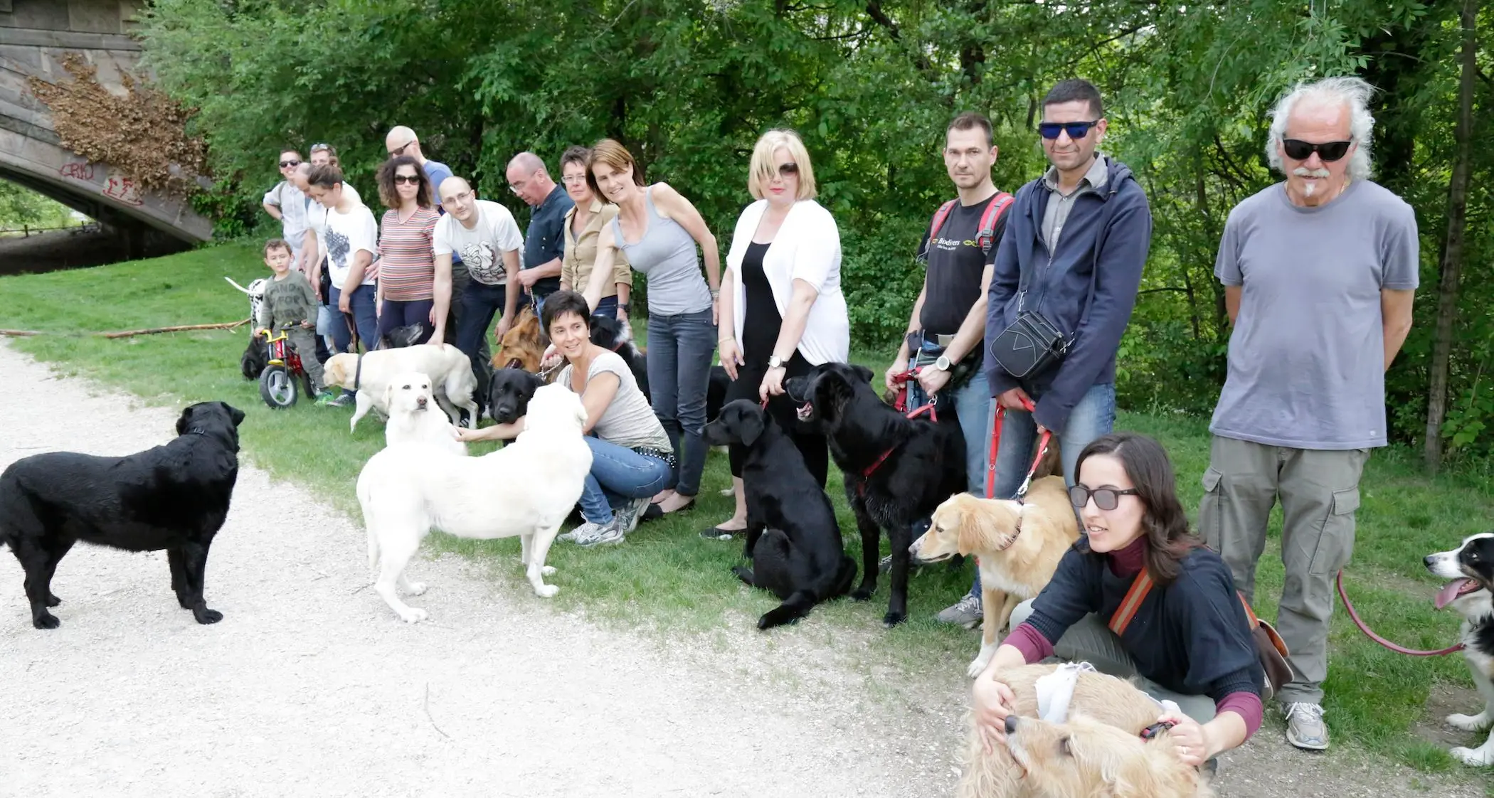 Avere un cane, tutti i doveri per tutelare noi (e gli altri)
