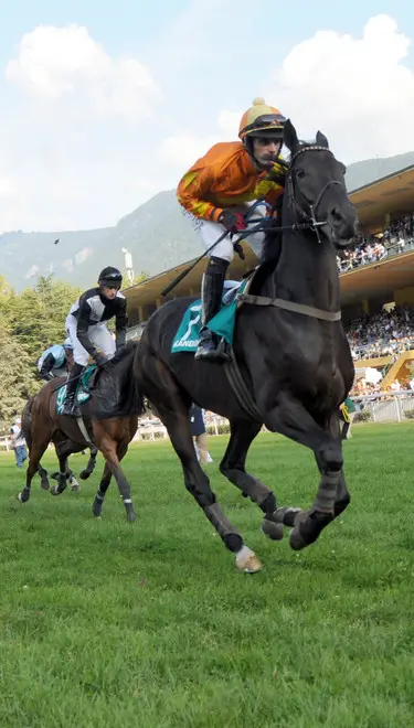 Ippodromo di Merano: gruppo Martone a un passo dal ritiro