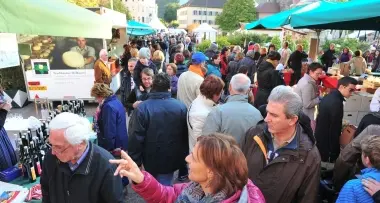 Mercati in concorrenza: piazza Walther strapiena piazza Matteotti deserta