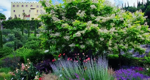 Tripadvisor premia i Giardini di Castel Trauttmansdorff