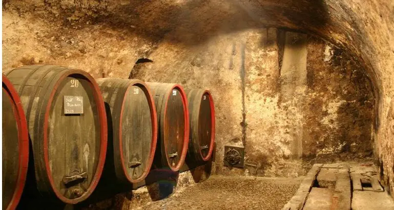 Una notte tra le botti di cantine e tenute della Bassa Atesina