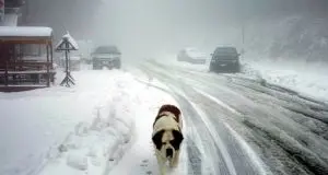 Maltempo: freddo polare in Alto Adige, -20 a Brunico