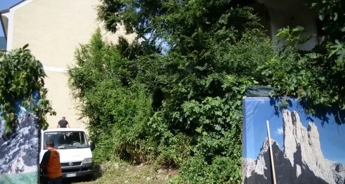 Rifiuti e vandalismi, via Matteotti dice «basta»