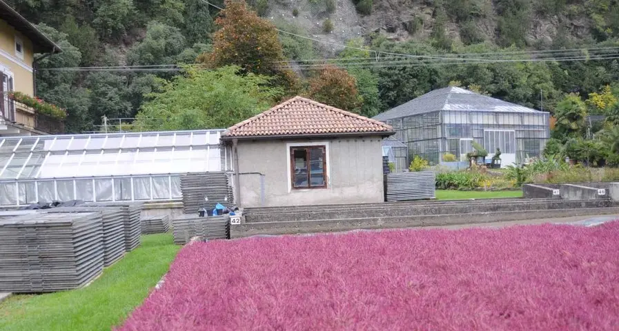 Una serra da 447 mila euro nella giardineria comunale