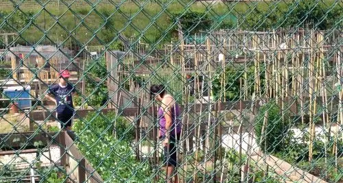 Orti del Talvera, si va verso una soluzione