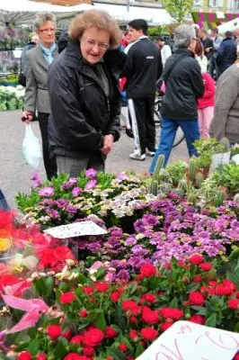 Festa dei fiori: Bolzano, centro storico pieno di turisti