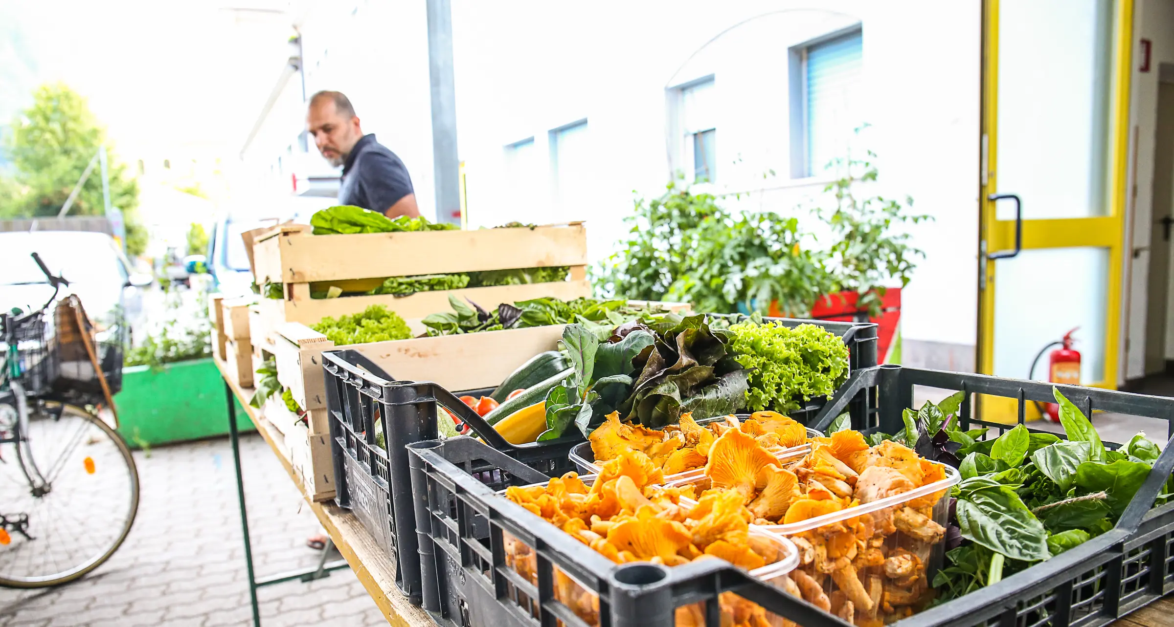 Agricoltura biologica: in Alto Adige le aziende sono 1.143