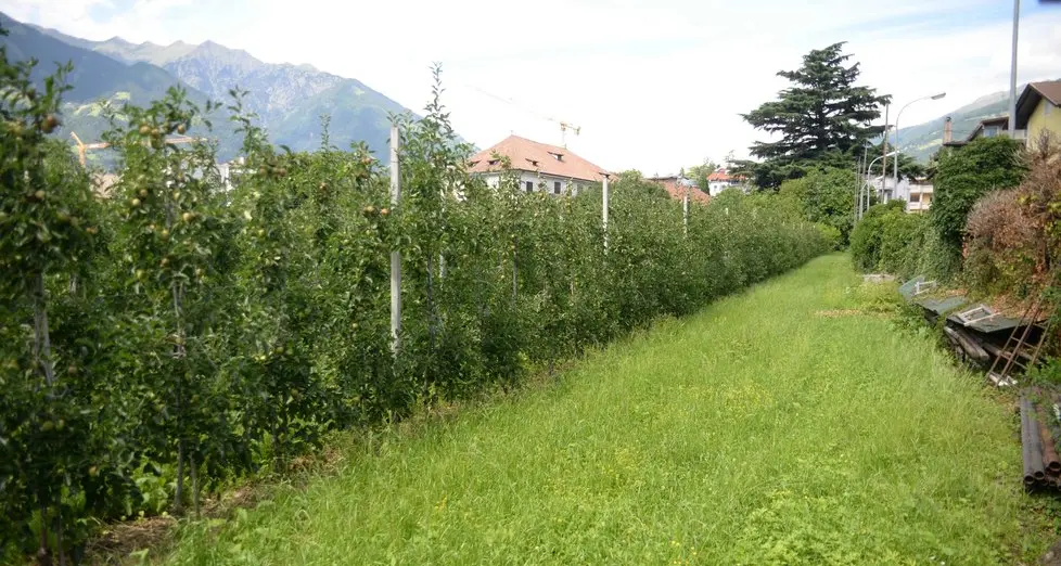 La Provincia boccia il Comune e va avanti con il polo scolastico