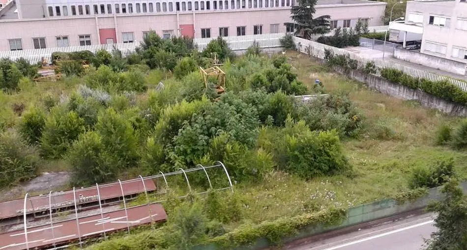 Zanzare, emergenza in via Ortles