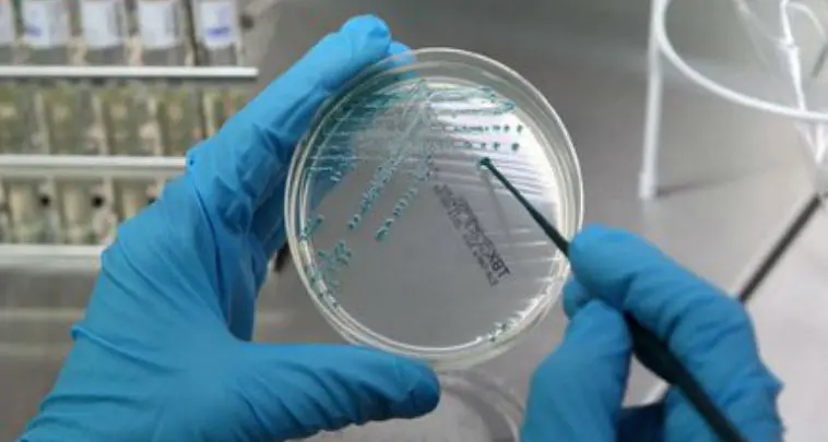 Bolzano, un nuovo caso di legionella a Don Bosco