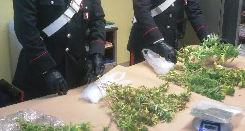 Varna, bloccato con un chilo di marijuana nelle buste della spesa
