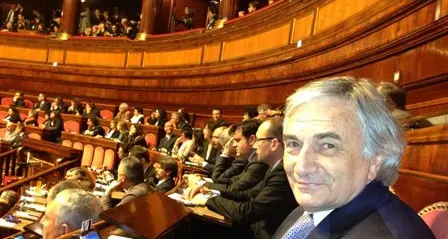 Senato, il bolzanino-argentino Zin nel “gruppo per le autonomie”