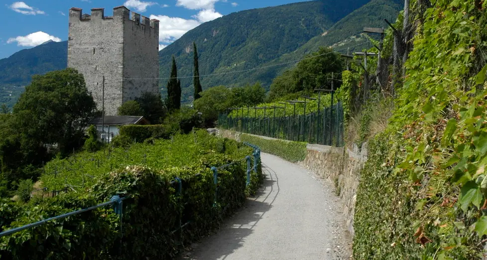 Si accende la luce sulla Tappeiner