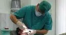 Bolzano: smascherato e denunciato falso dentista tedesco
