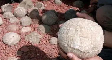 Alto Adige: sequestrate uova fossili di dinosauro al museo di San Candido
