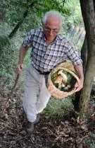 Multe salate per i fungaioli