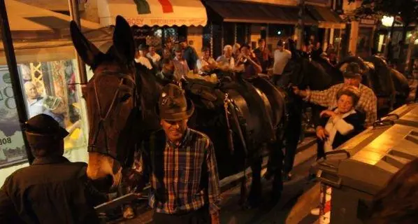 L’adunata degli alpini, le penne nere invadono Bolzano LA CRONACA